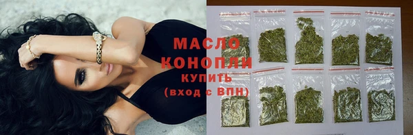 индика Медногорск