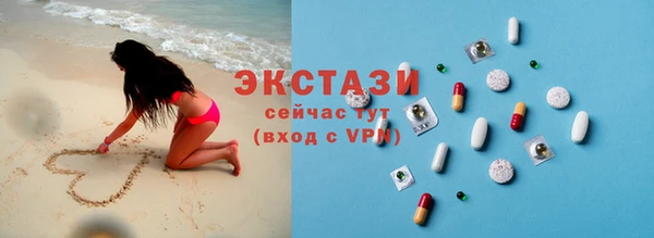 индика Медногорск