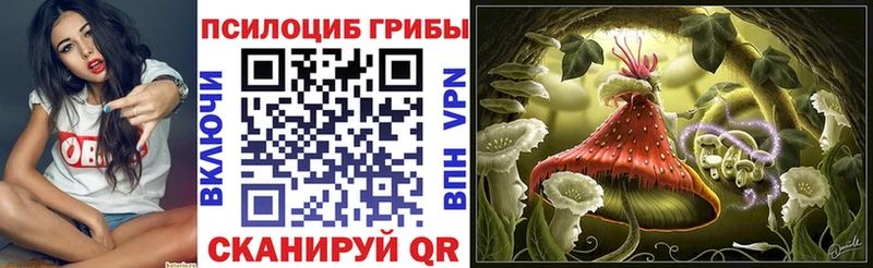 где купить наркоту  Кемерово  Псилоцибиновые грибы Cubensis 